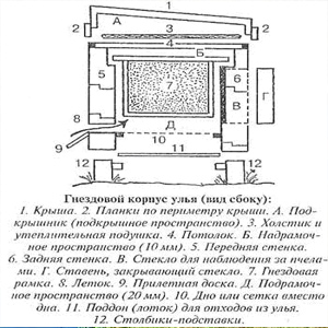 Чертеж улья Дадан на 10 и 12 рамок